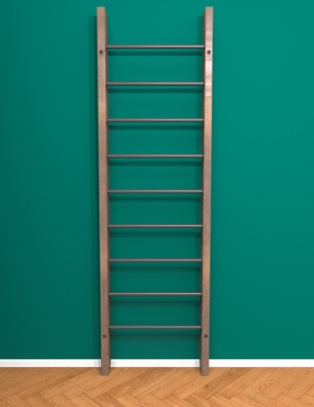 картинка Брашированная шведская стенка "Кастерли" Classic (Черные ступени) от магазина Лазалка