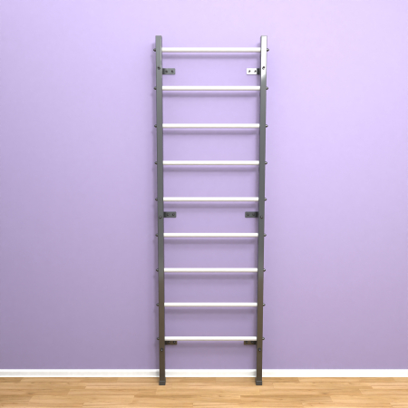 картинка Шведская стенка "LittleSport" (черный*белый) от магазина Лазалка