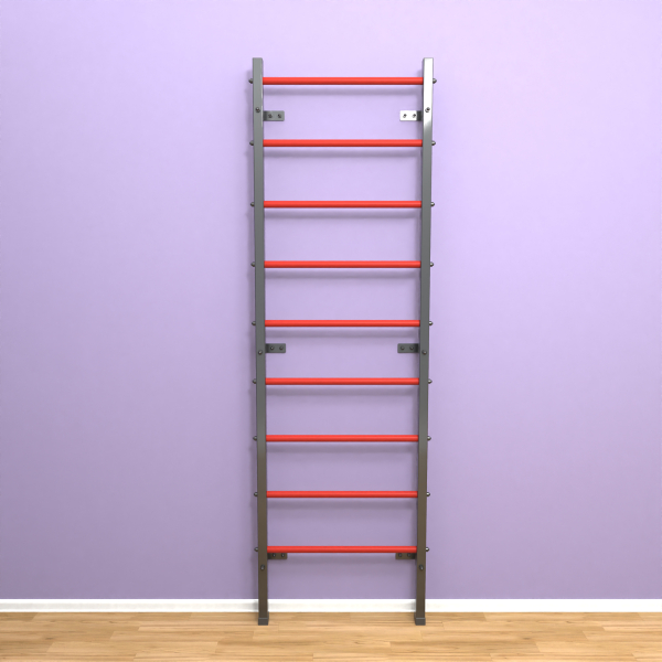 картинка Шведская стенка "LittleSport" (черный*красный) от магазина Лазалка